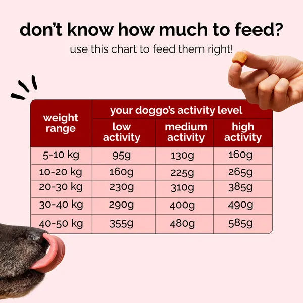 Henlo Baked Chicken Adult and Puppy Dog Dry Food | 100% Human Grade Ingredients image 5