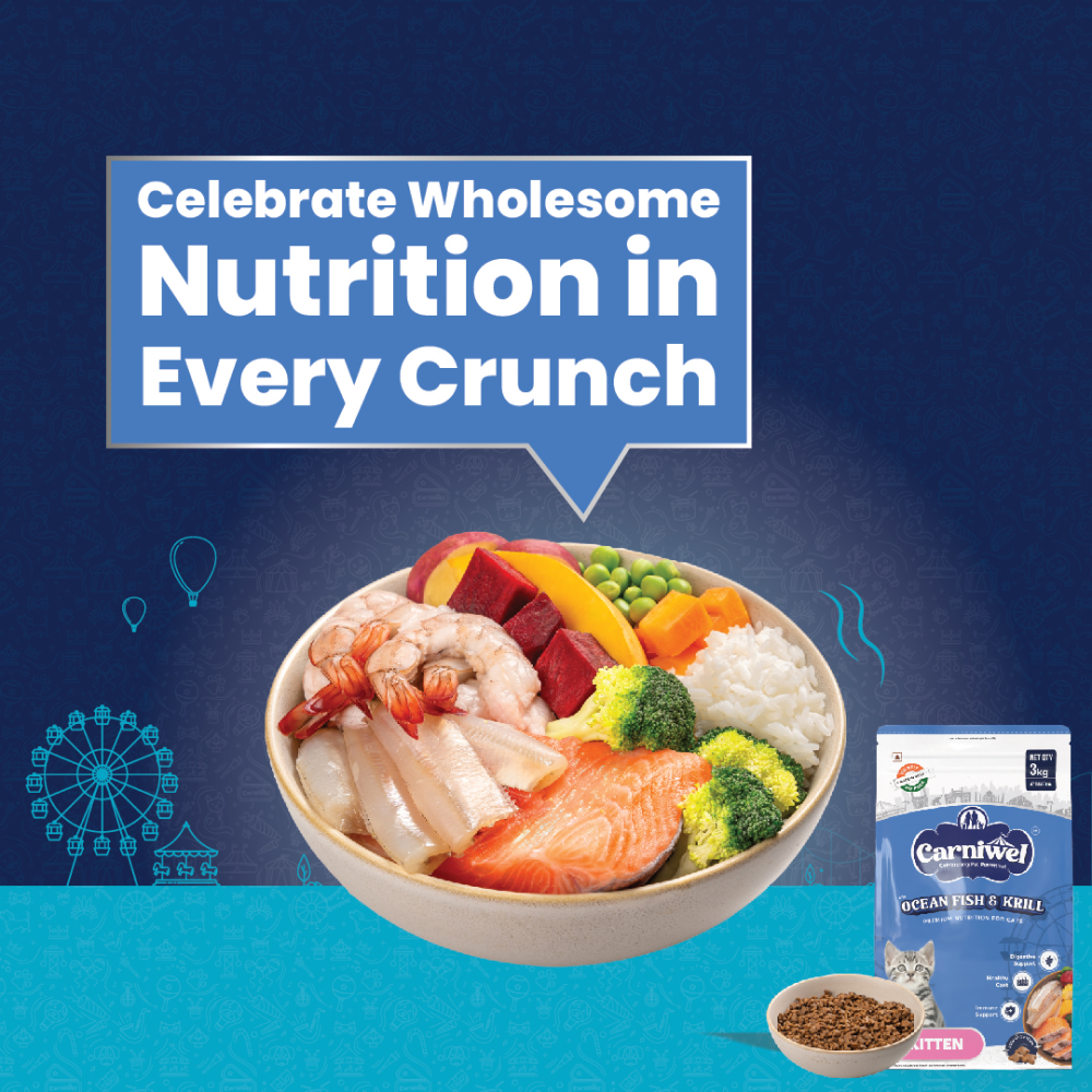 Carniwel Ocean Fish and Krill For Kitten Cat Dry Food image 6