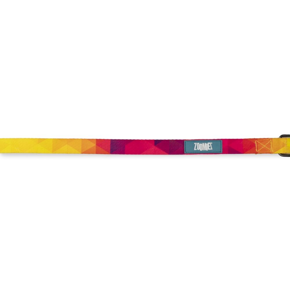 Zoomiez Solar Printed Leash for Dogs image 6
