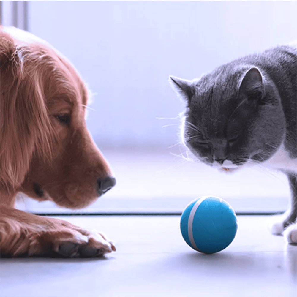 Cheerble Wicked Ball Interactive Toy for Dogs (Blue) image 5