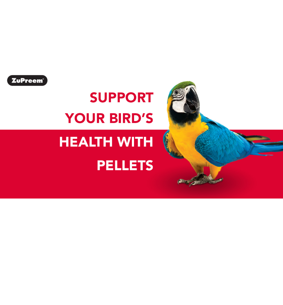 ZuPreem Fruit Blend Bird Food for Large Birds image 2