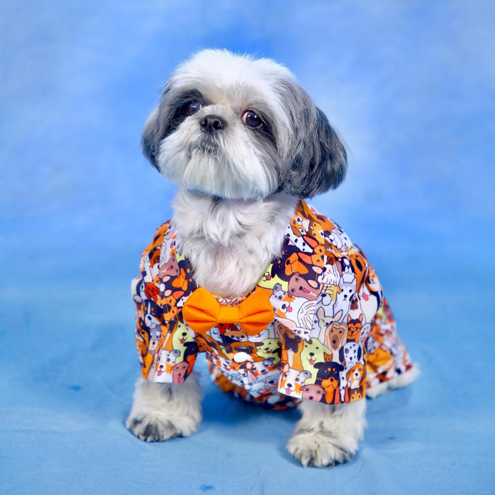Dogobow Doggo Print Shirt for Dogs (Orange/White)