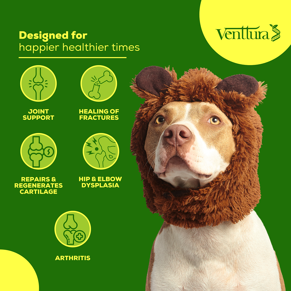 Venttura Inhancer Hip & Joint Soft Nuggets Supplements for Dogs image 3