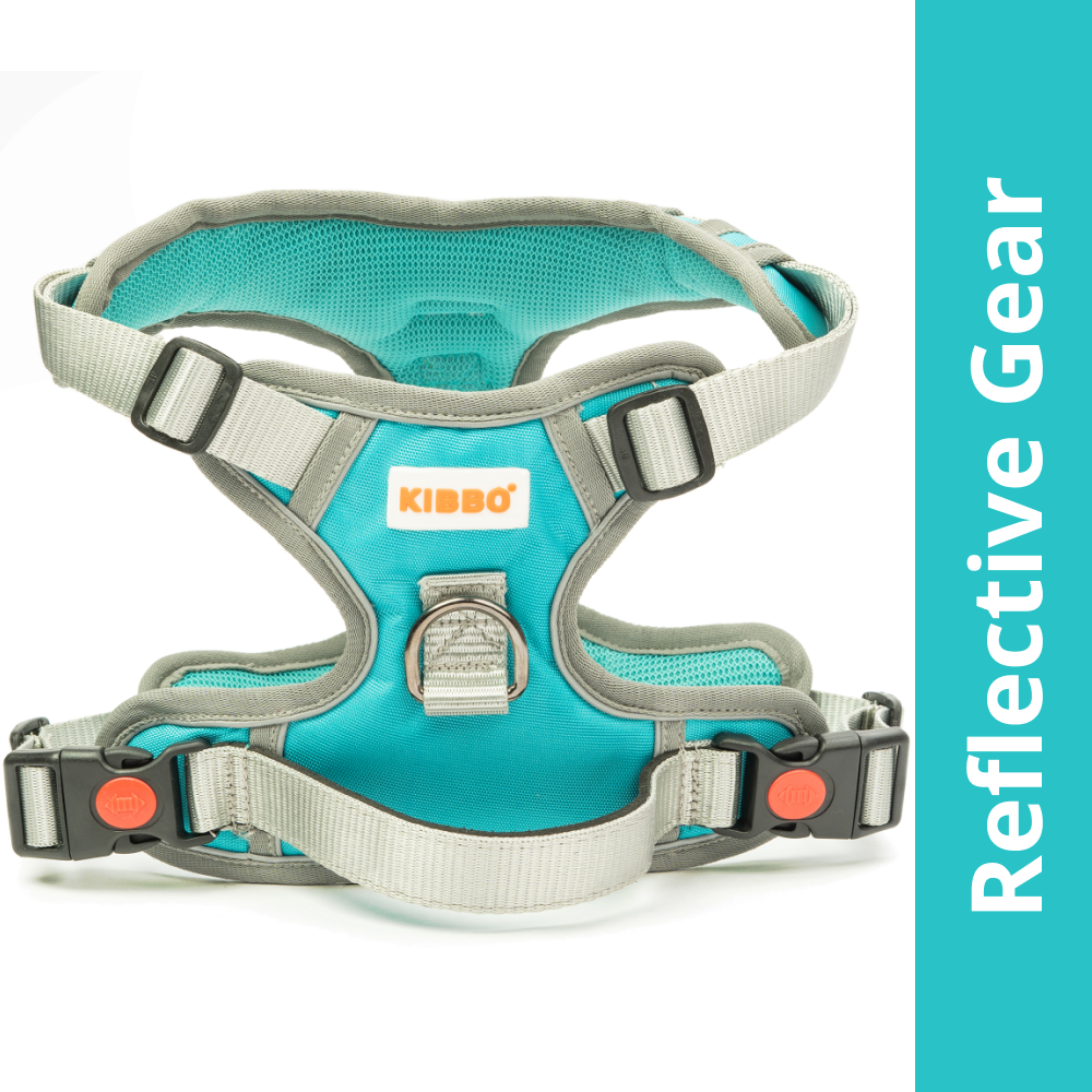 Kibbo Reflective Vest Harness with Dual Lock Buckle for Dogs (Sea Green)