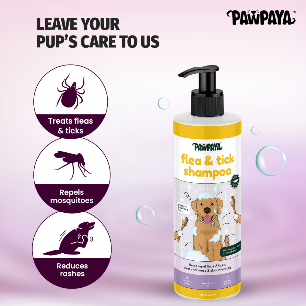 Pawpaya Flea & Tick Shampoo for Dogs image 3