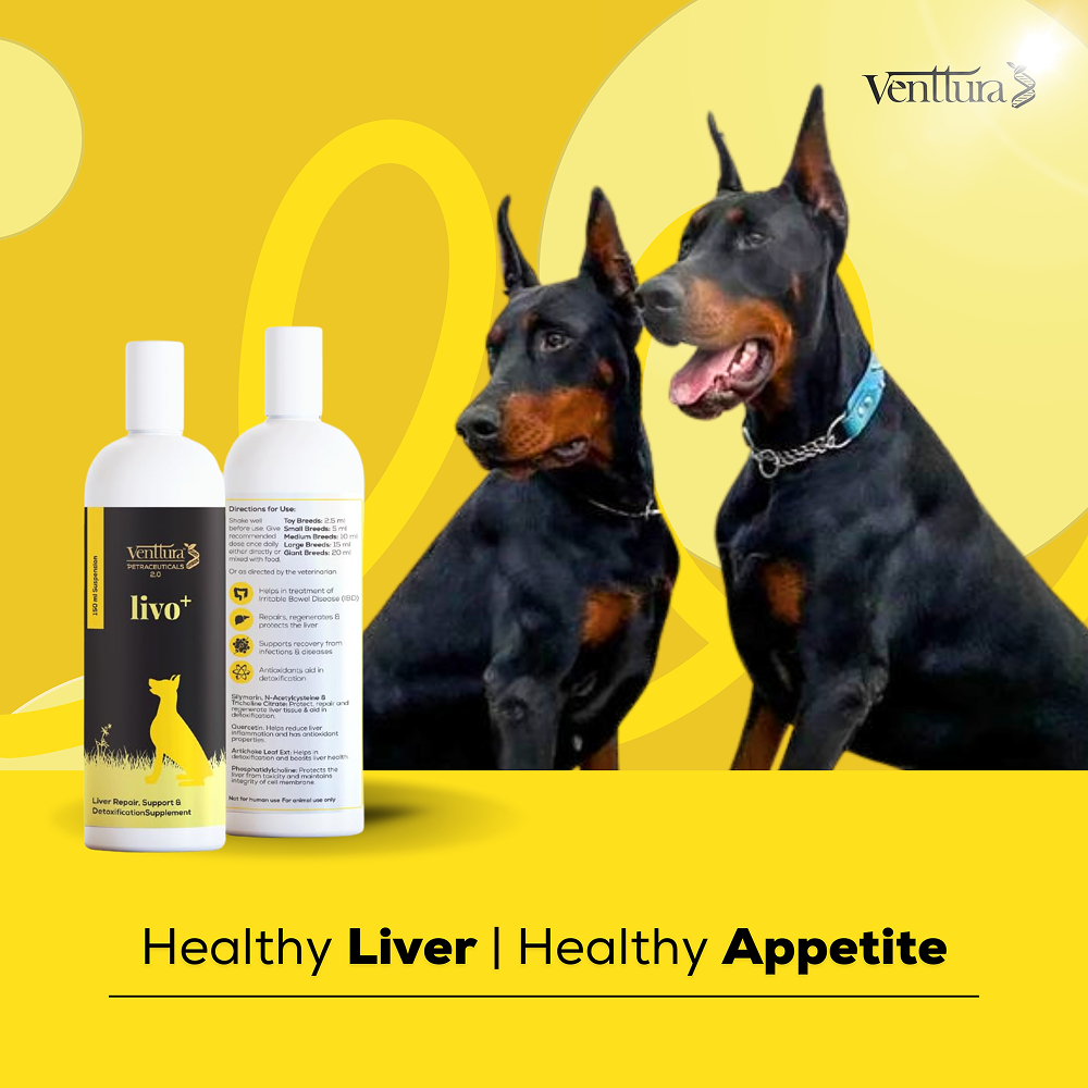 Venttura Livo Plus Liver Supplement Syrup for Dogs image 5