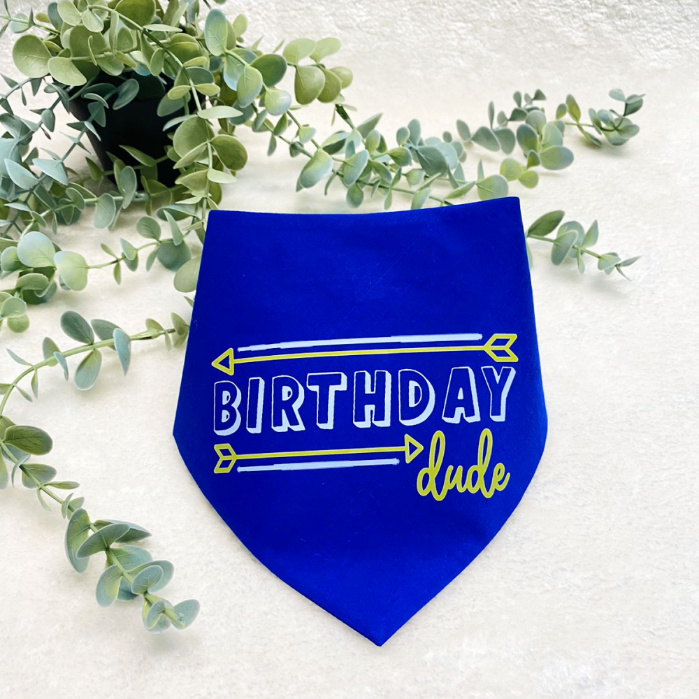 Dogobow Birthday Dude Scarf for Dogs (Royal Blue) (Get a Bow Free) image 3
