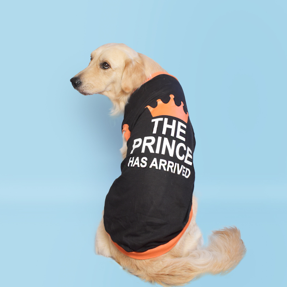 Pet Set Go Prince has Arrived T-shirt for Dogs (Black) image 2