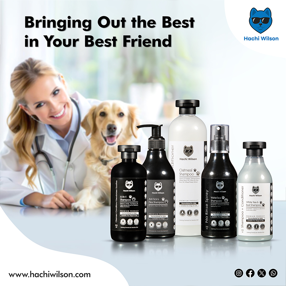 Hachi Wilson Super Premium White Tea and Basil Shampoo for Cats image 3