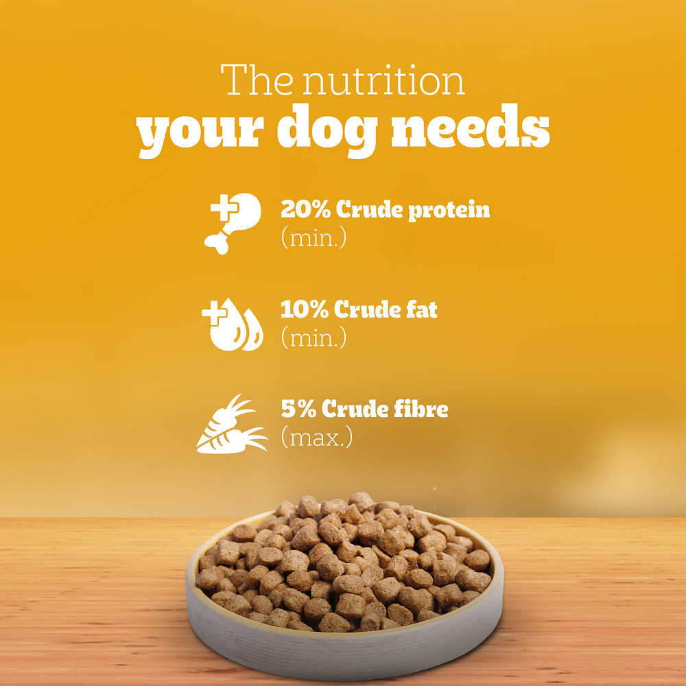 Pedigree Chicken and Vegetables Adult Dog Dry Food image 10