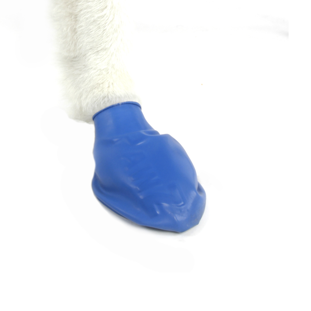 Protex PawZ Disposable and Reusable Boots for Dogs (Blue) image 3