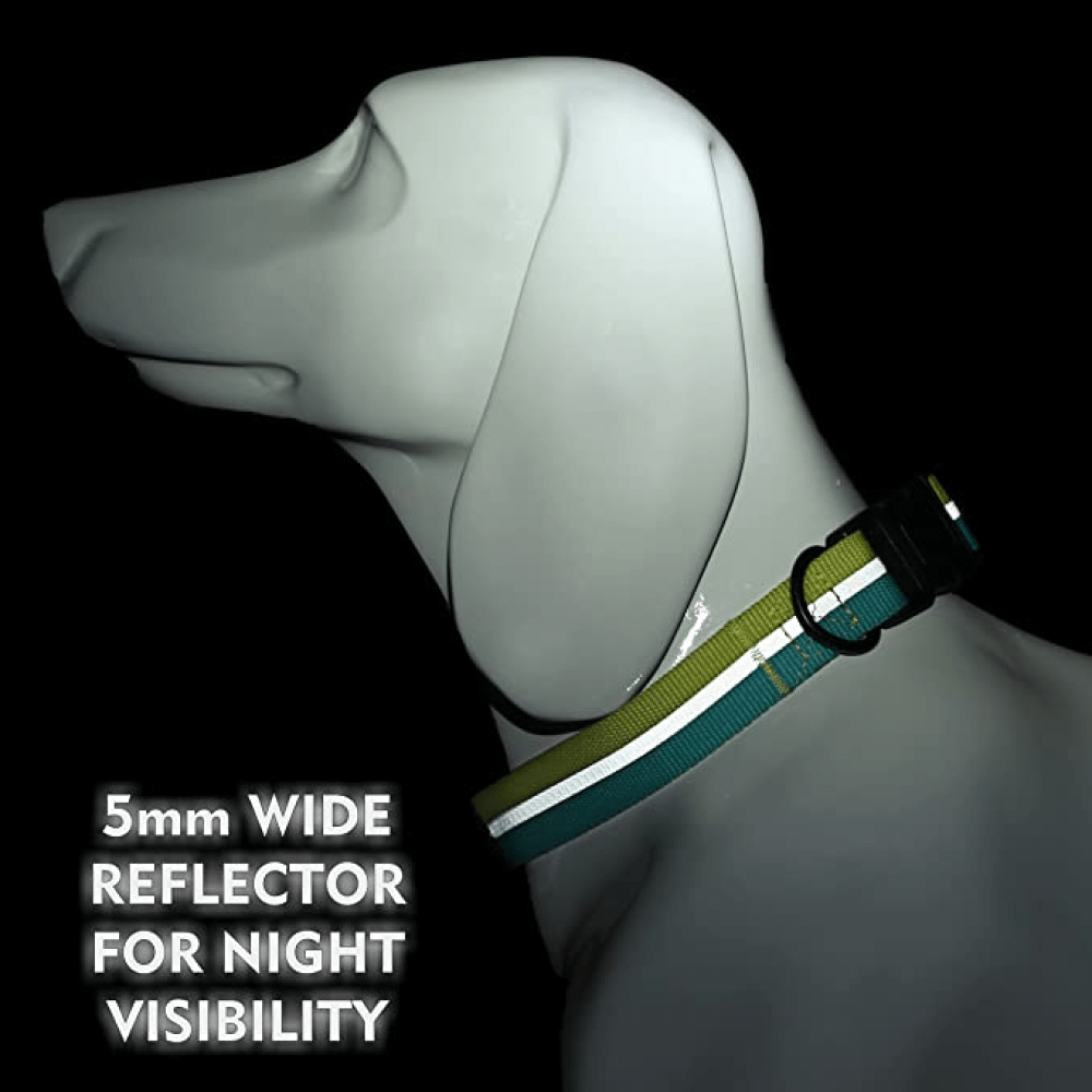 Glucklich Everyday Reflective Collar for Dogs (Mint Green) image 5
