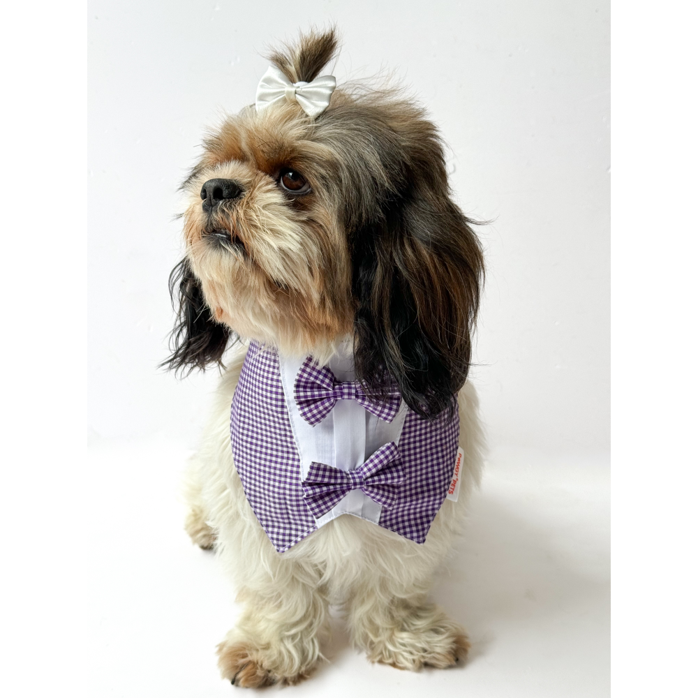 Pawgypets Casual Check Bandana for Dogs and Cats (Purple) image 2