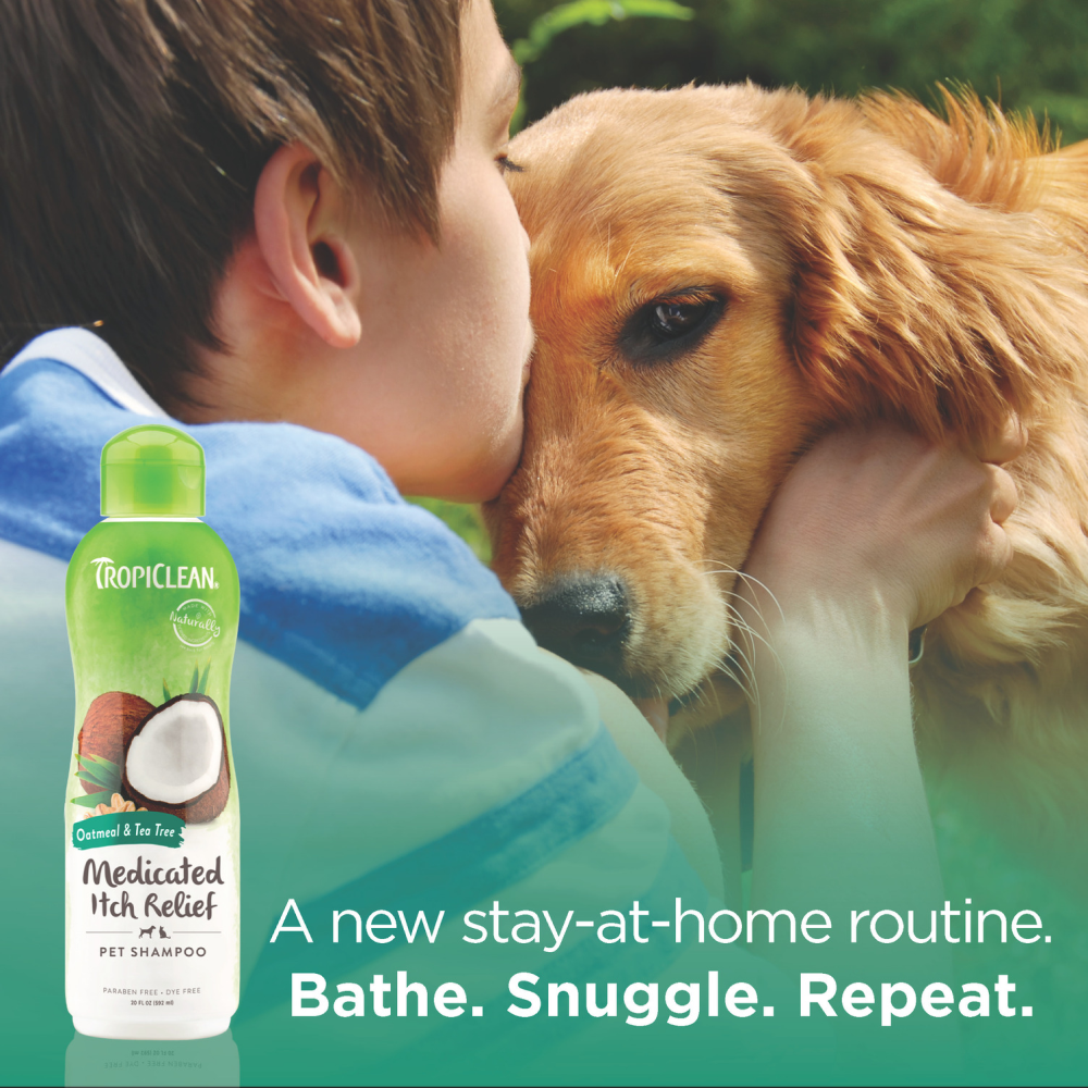 Tropiclean Medicated Oatmeal & Tea Tree Shampoo for Dogs image 10