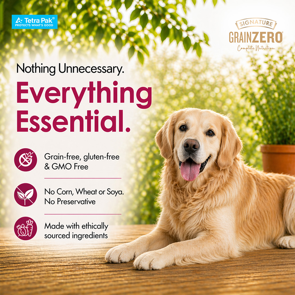 Signature Grain Zero Tetra Pack Real Chicken Turkey Dog Fresh Food image 5