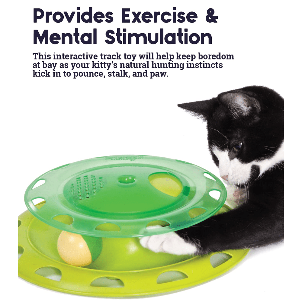 Outward Hound Catnip Chaser Independent Play Toy for Cats image 5