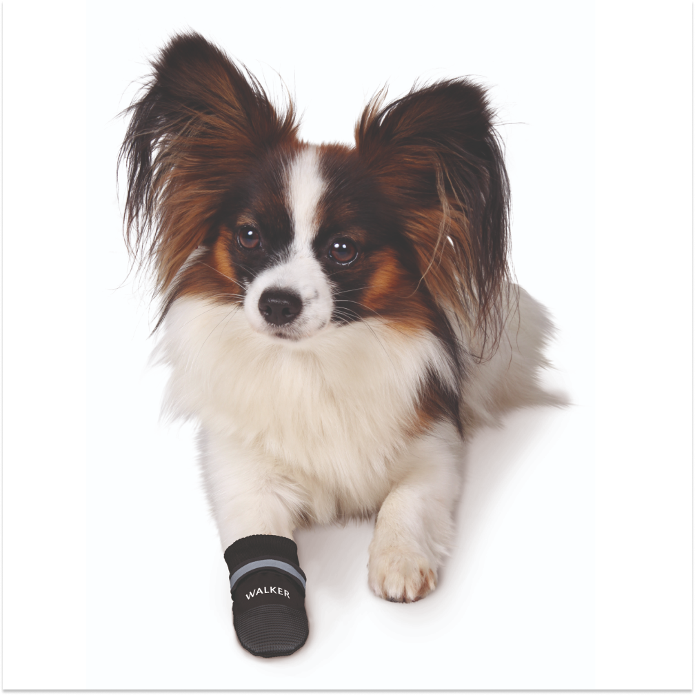 Trixie Walker Care Comfort Protective Boots for Dogs image 2