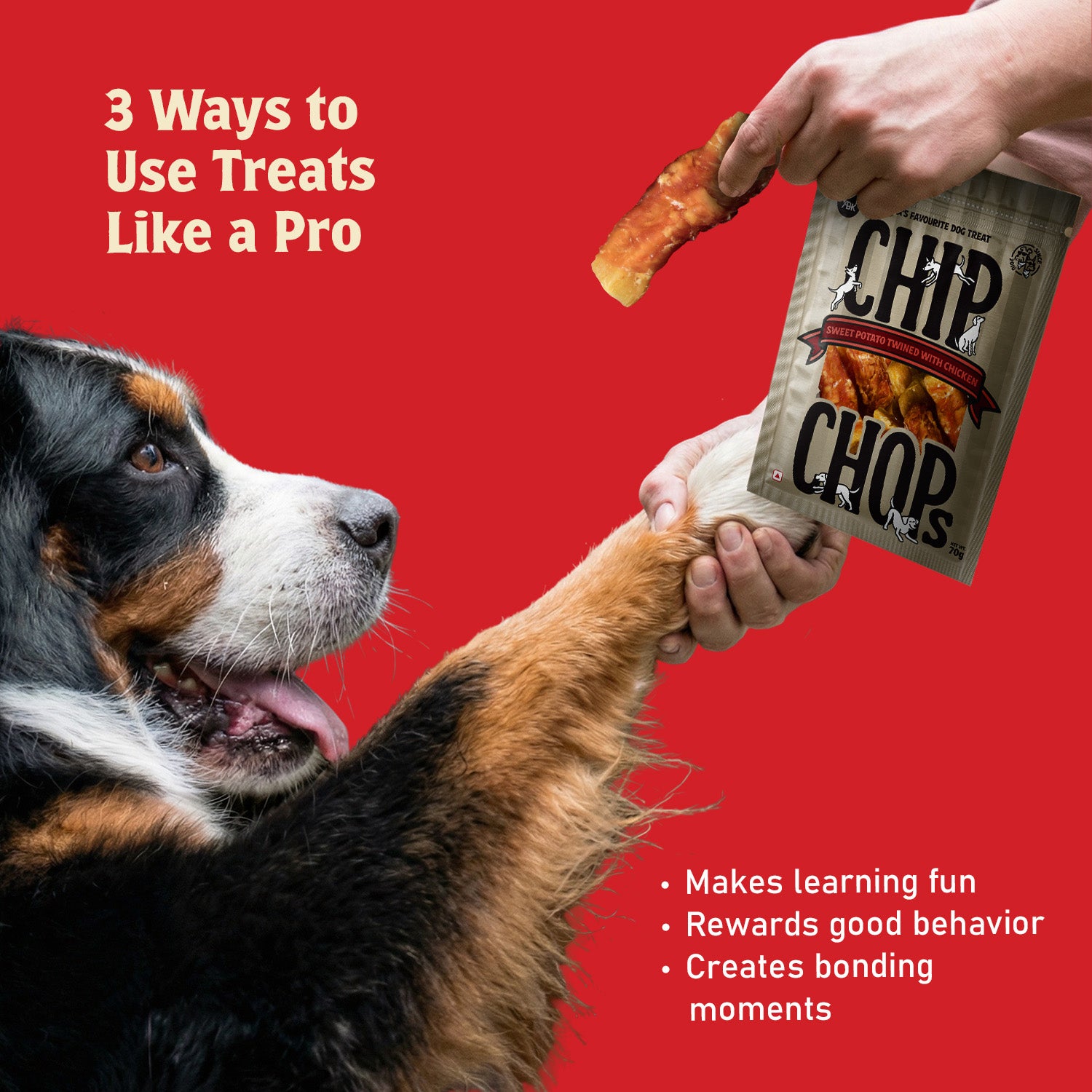Chip Chops Sweet Potato Chicken Dog Treats image 3