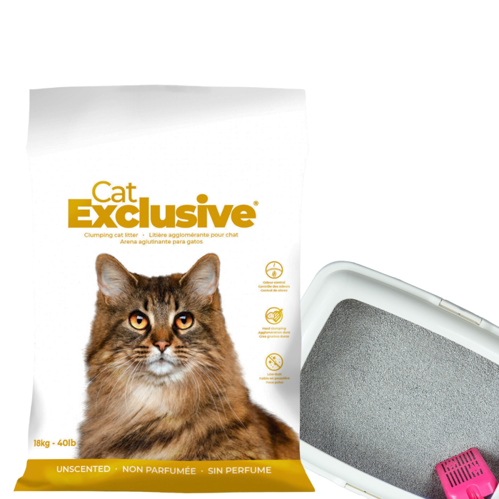 Intersand Cat's Exclusive Sodium Bentonite Clumping Unscented Cat Litter image 3