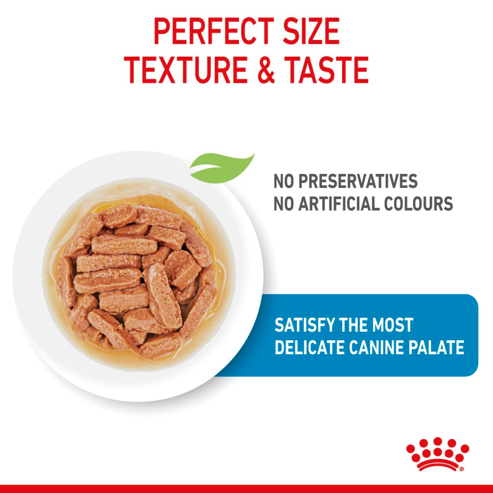 Royal Canin Medium Puppy Dog Wet Food image 3