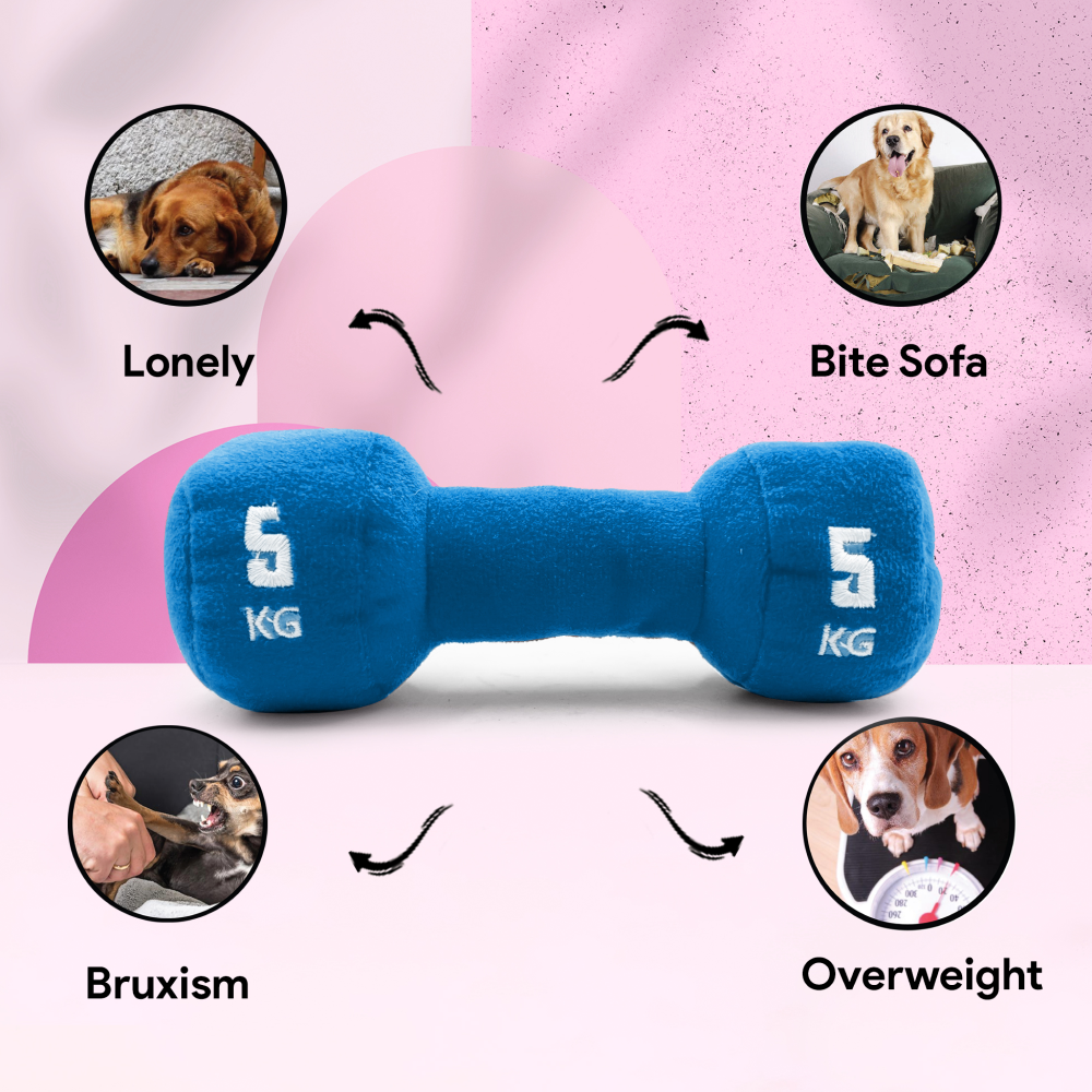 Goofy Tails Gym Series Dumbbell Plush Toy for Dogs (Blue) image 3