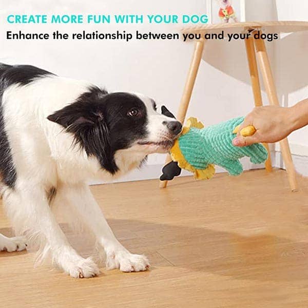 Pawsindia King the Cub Toy for Dogs image 3
