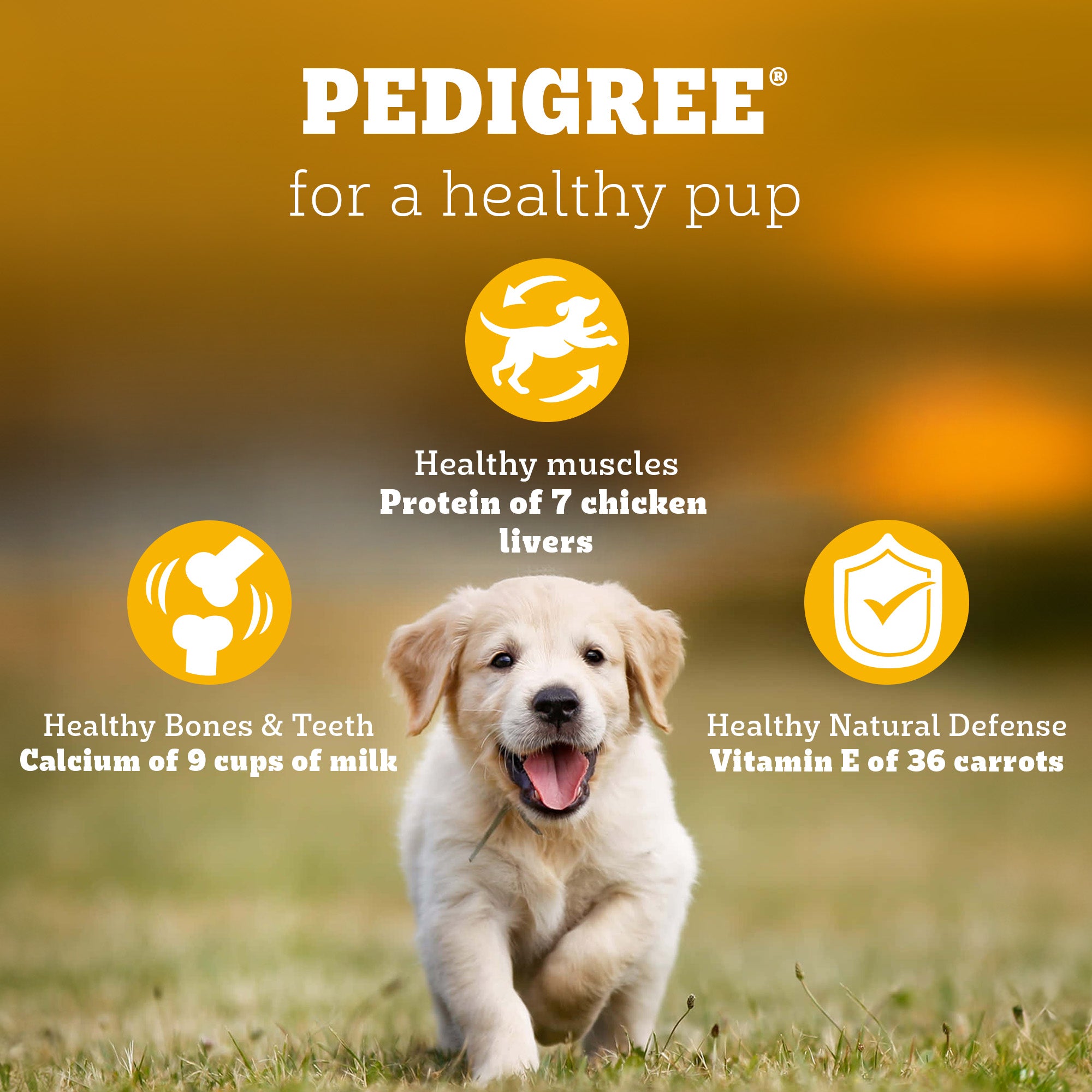 Pedigree Chicken and Milk Puppy Dog Dry Food image 9