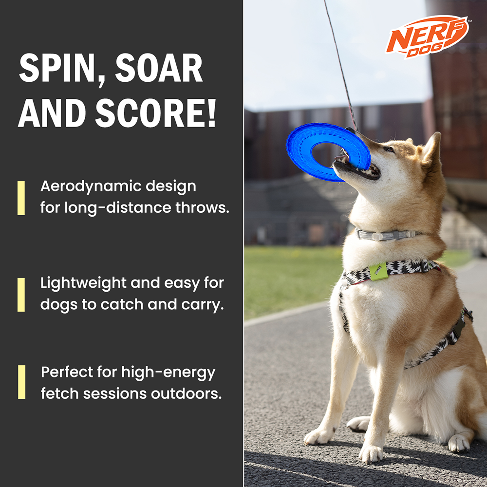 Nerf Dog Translucent Tire Flyer TPR Toy for Dogs (Blue) image 4