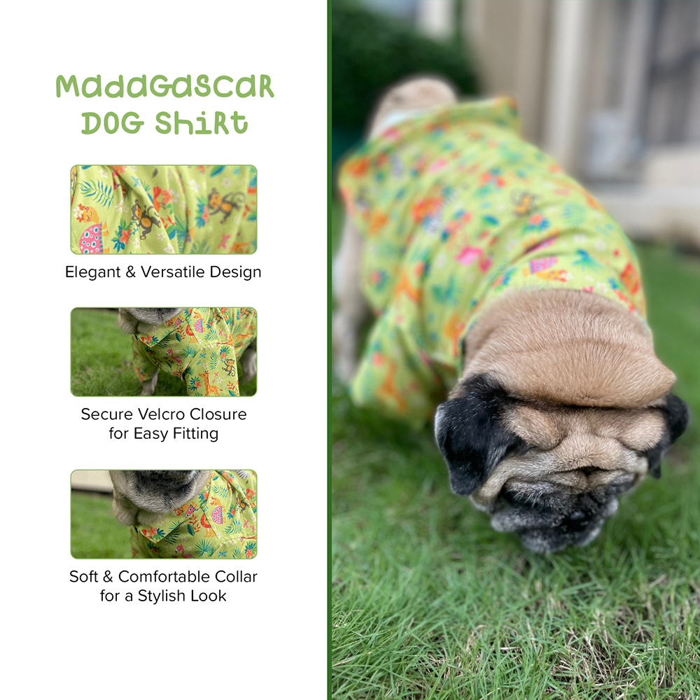 15buttons Madagascar Shirt for Dogs image 6