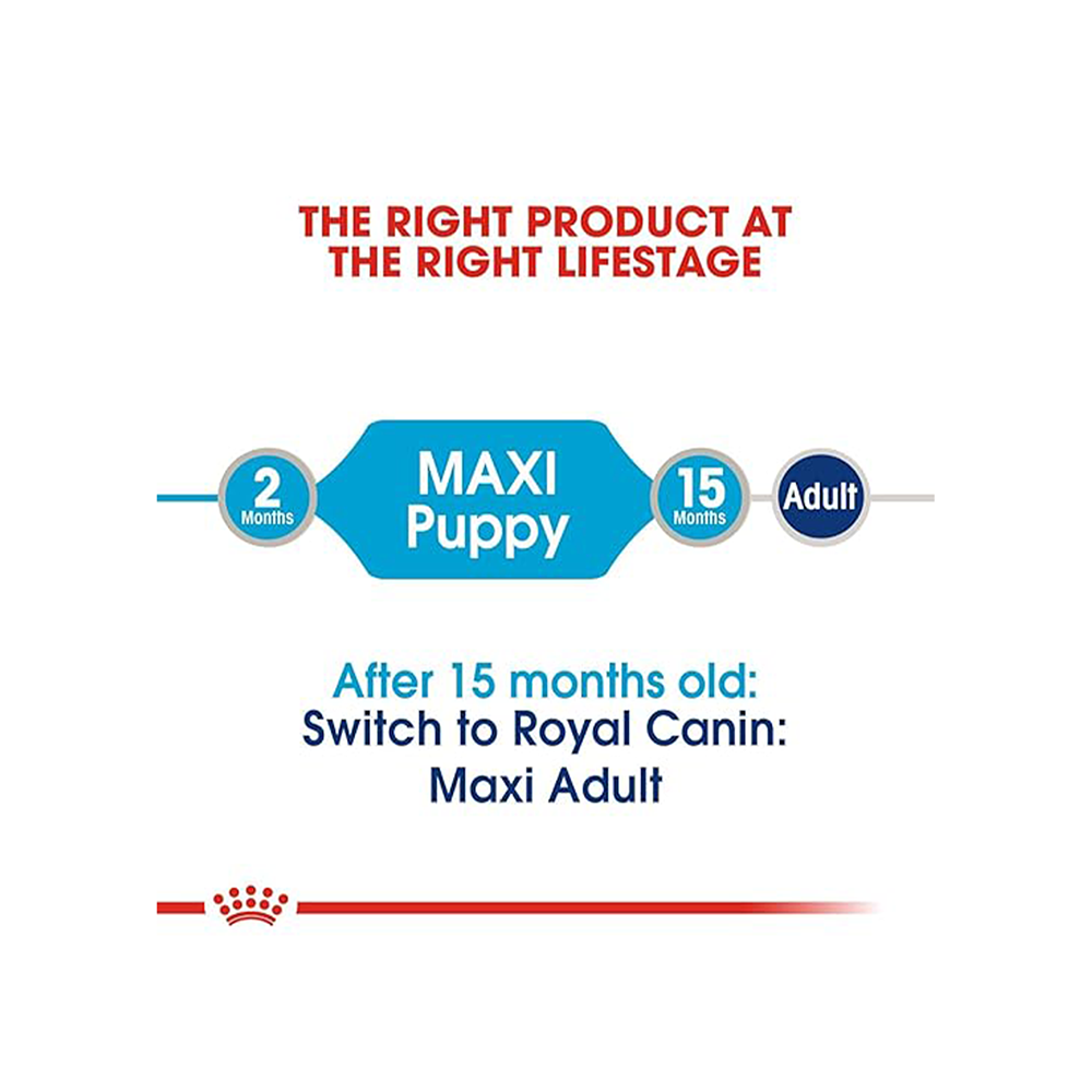 Royal Canin Maxi Puppy Dog Wet Food image 3