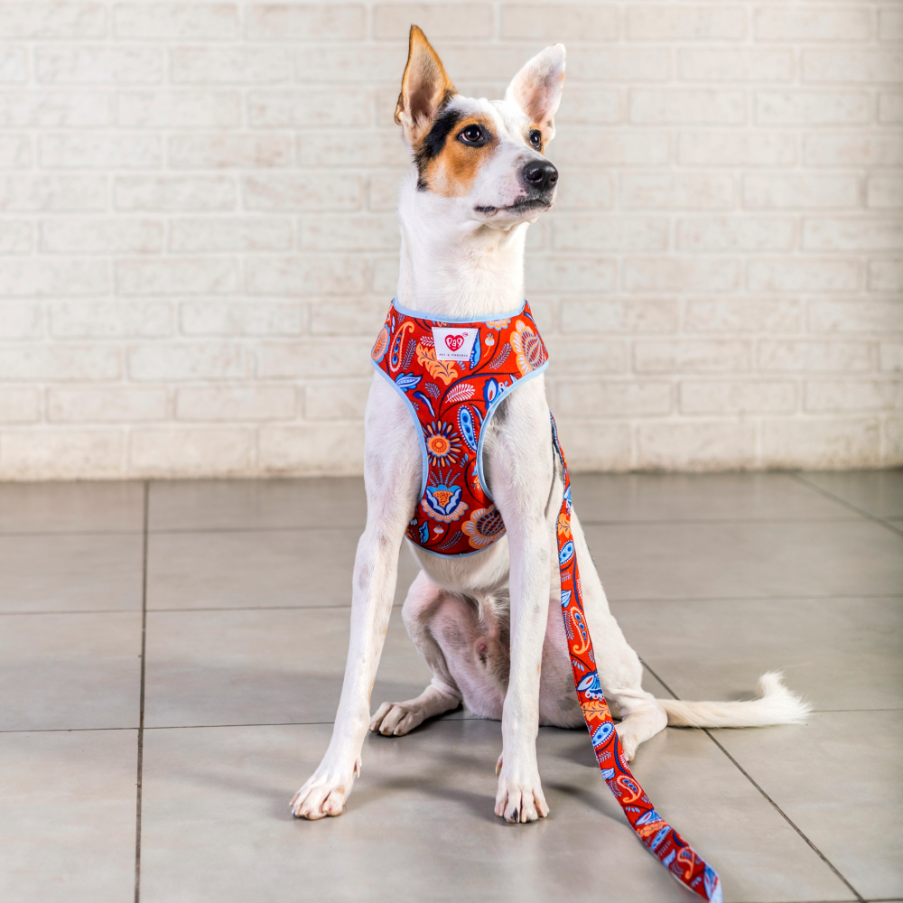 Pet And Parents Indie Floral Reversible Harness for Dogs image 6