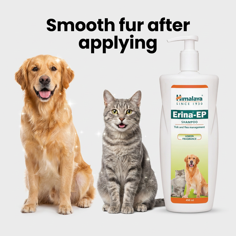 Himalaya Erina EP Tick and Flea Shampoo for Dogs and Cats image 6