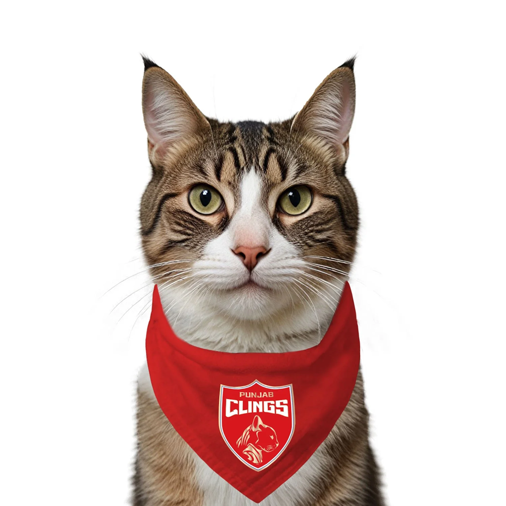Ruse IPL Punjab Clings Printed Bandana for Cats (Red) | Indian Pet League