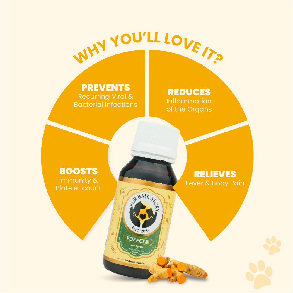 FurBall Story Fever, Cough & Cold Relief Syrup for Dogs and Cats image 4