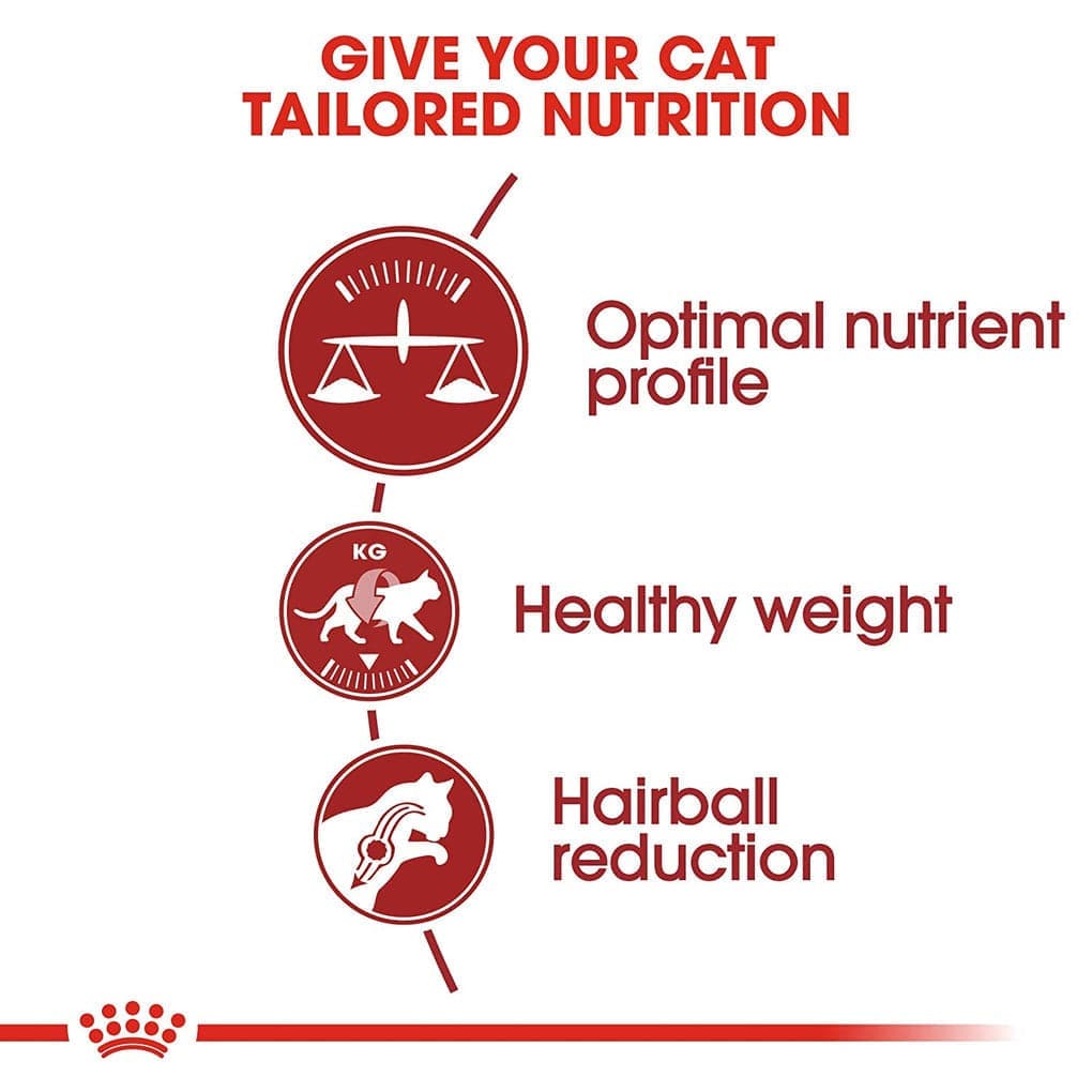 Royal Canin Fit 32 Regular for Adult Cat Dry Food image 3