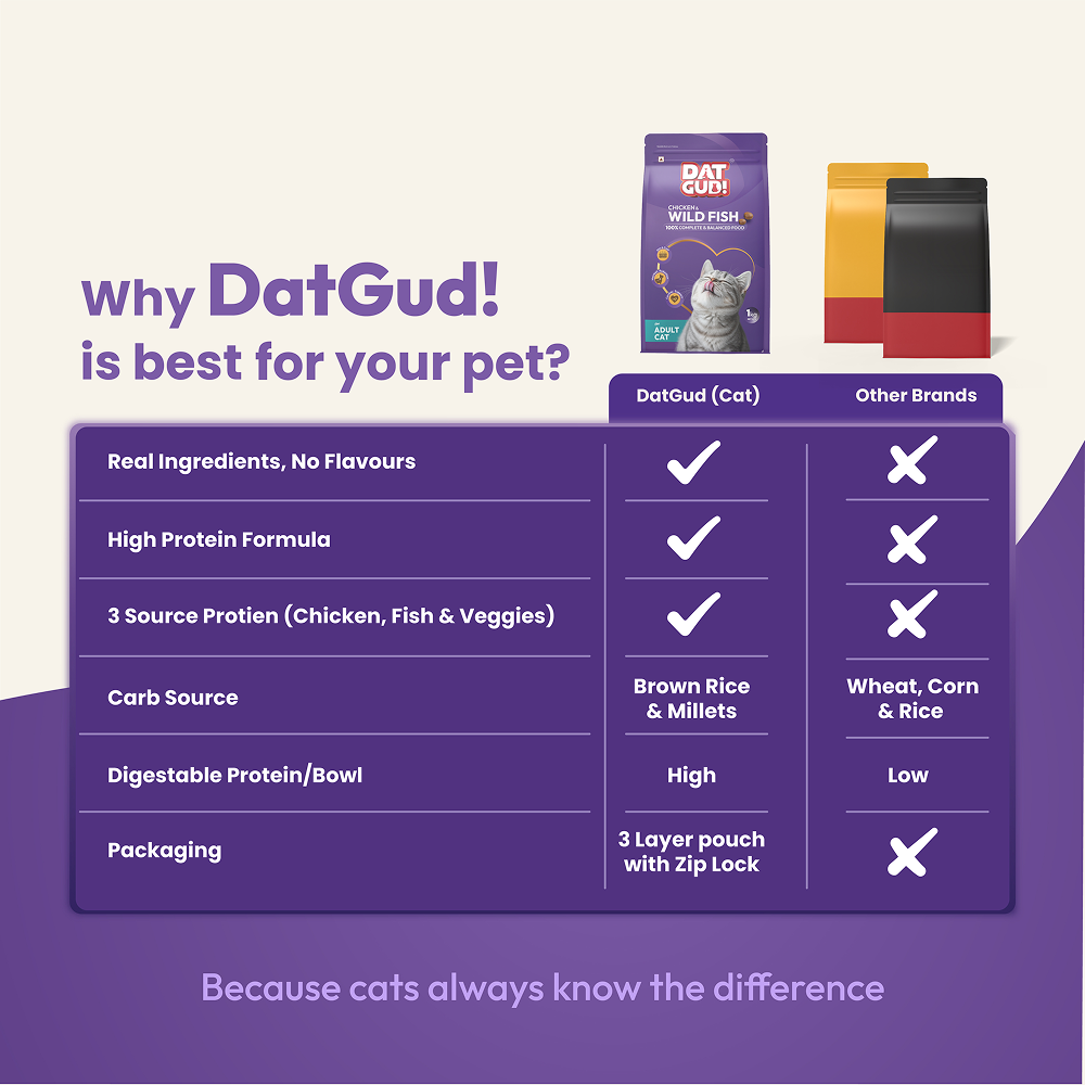 DatGud Chicken & Wild Fish Adult Cat Dry Food image 5