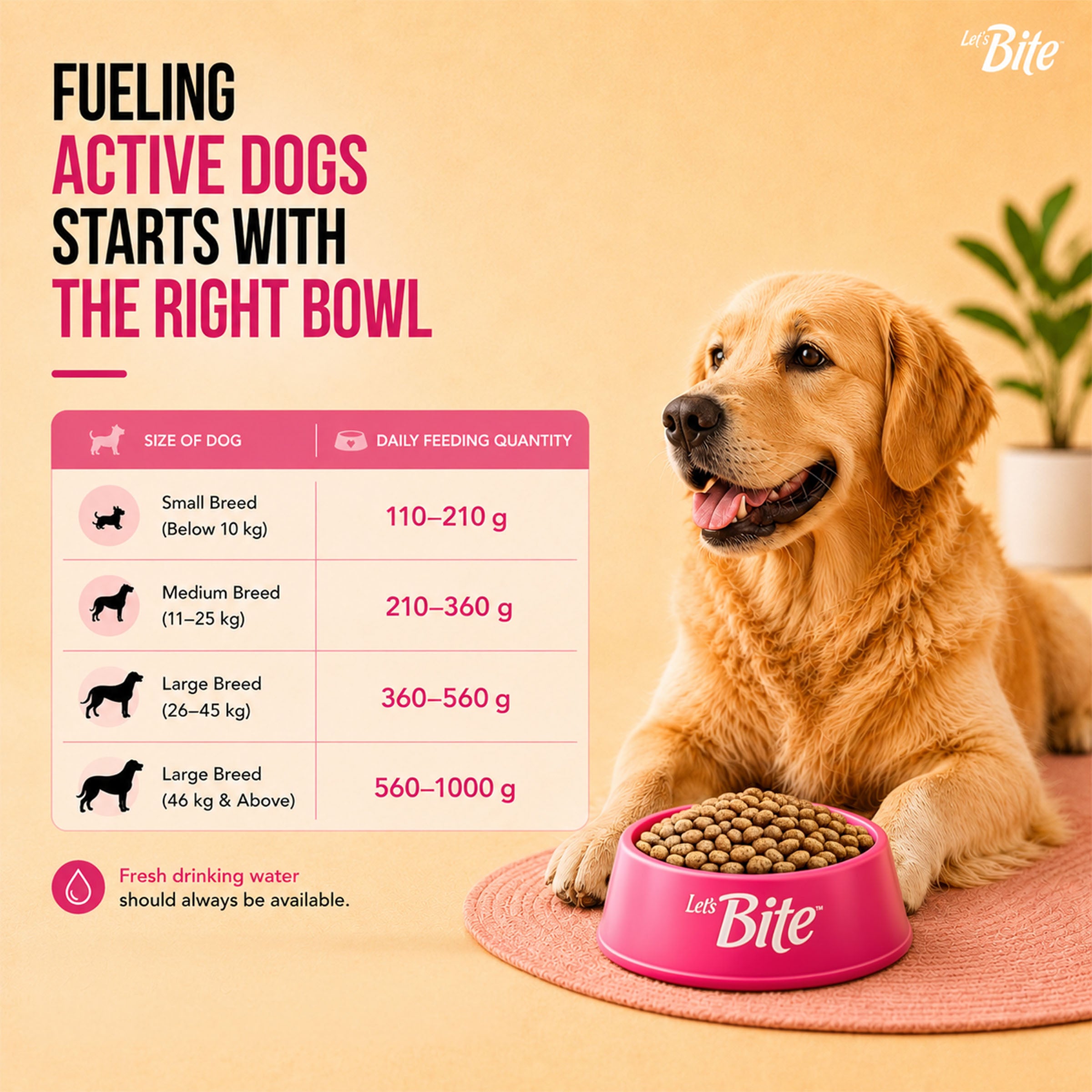 Let's Bite Active Adult Chicken Dry Food for Dogs image 8