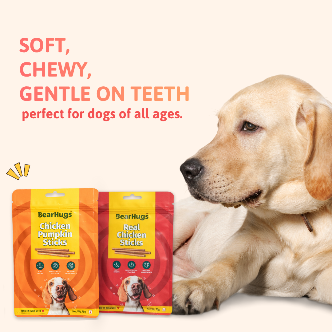 BearHugs Chicken & Pumpkin Soft & Chewy Sticks Dog Treats image 4