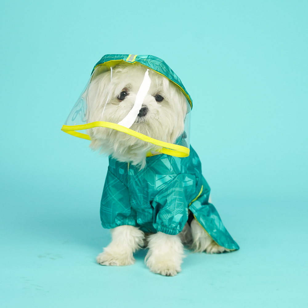 Pets Way TPU Raincoat with Cap for Dogs (Haze Teal) image 4