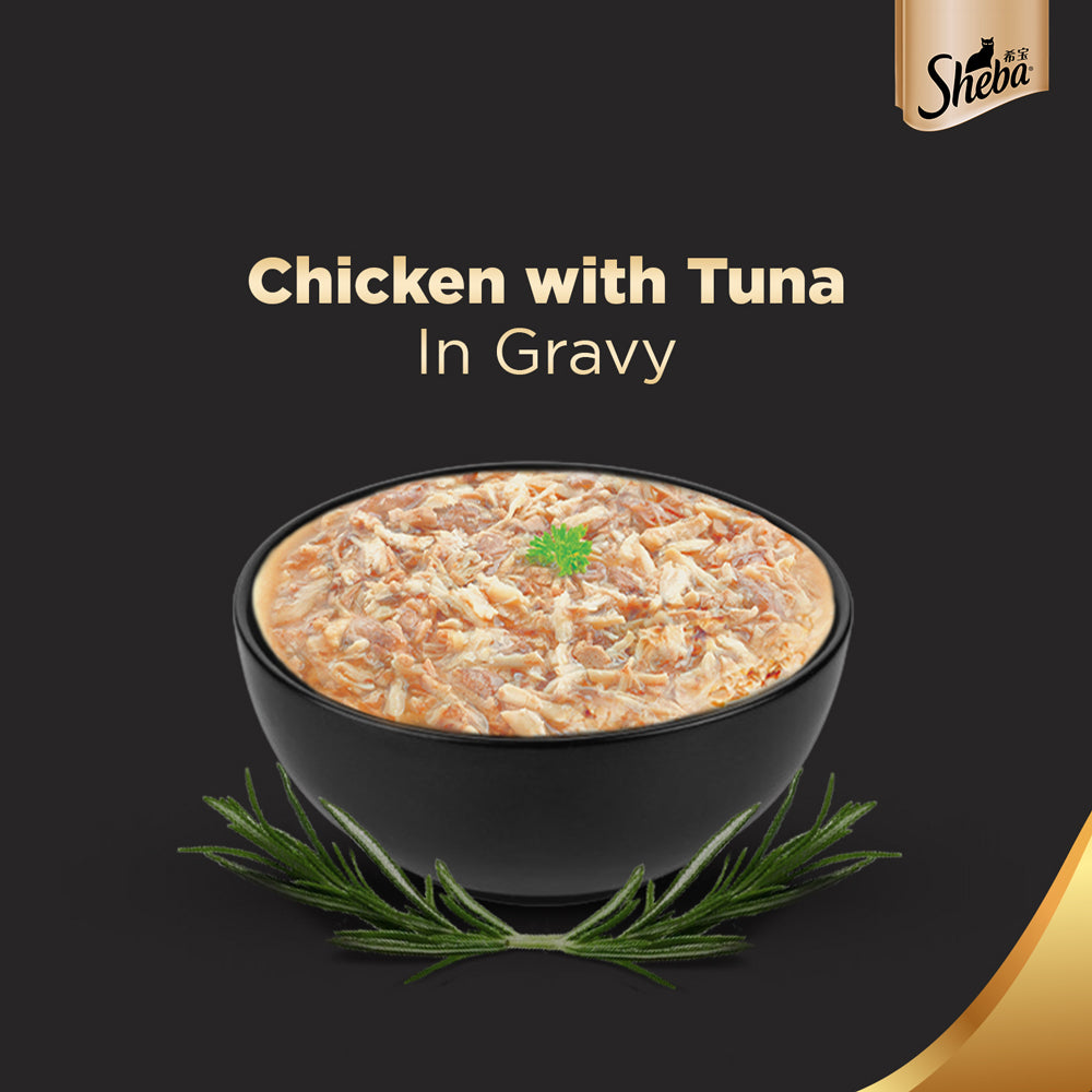 Sheba Chicken With Tuna In Gravy Premium Adult Cat Wet Food and Chicken All Life Stage Cat Dry Food Combo image 5