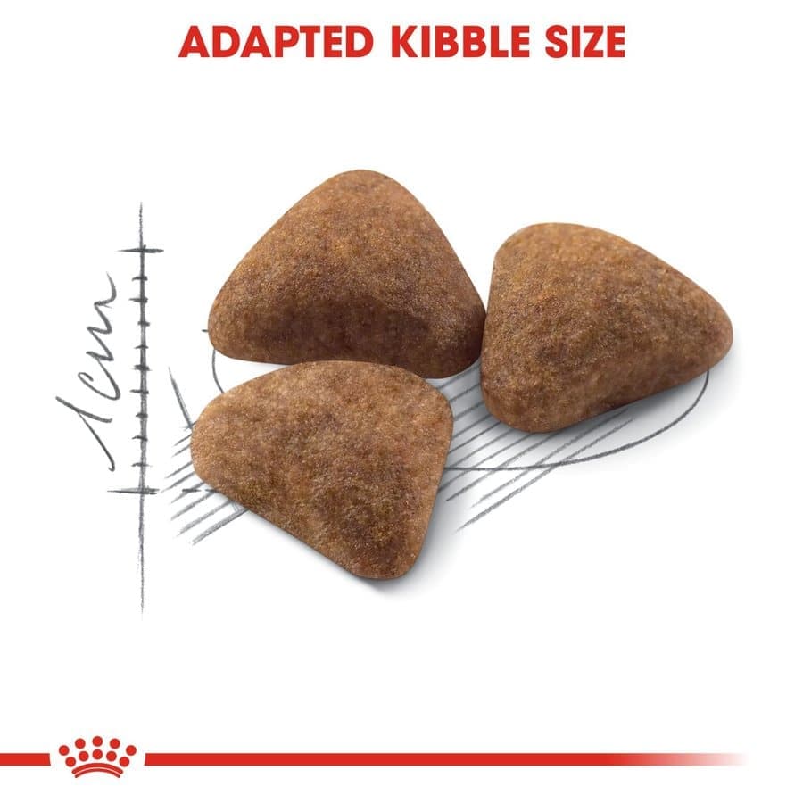 Royal Canin Indoor Adult Cat Dry Food image 3