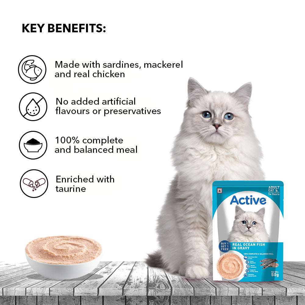 Active  Real Ocean Fish in Gravy Adult Cat Wet Food ( Buy 1 Get 1) image 6