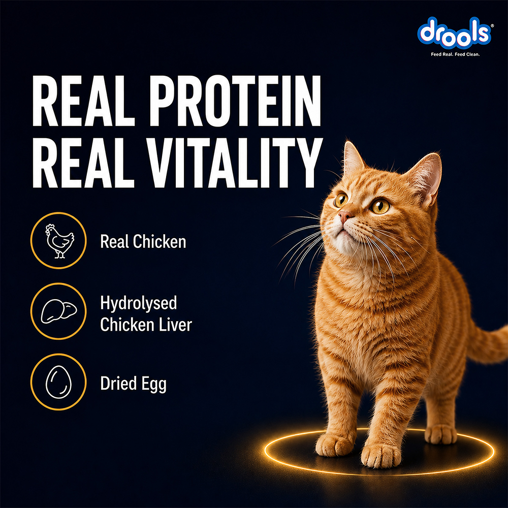 Drools Chicken Mousse Adult Cat Wet Food image 10