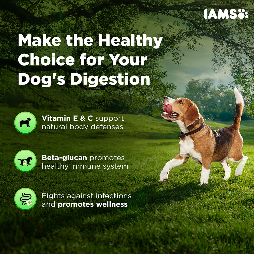 IAMS Proactive Health Dog Supplement For Healthy Immune System image 5