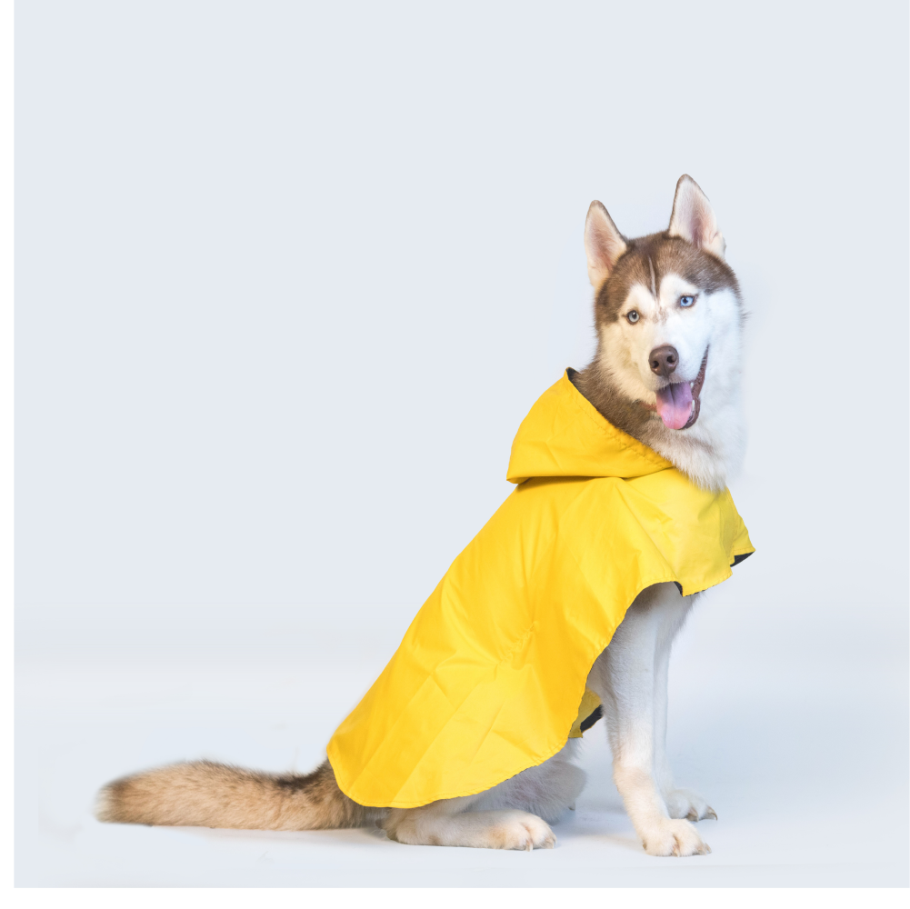 Pet Set Go Cape Style Raincoat for Dogs (Yellow) image 8