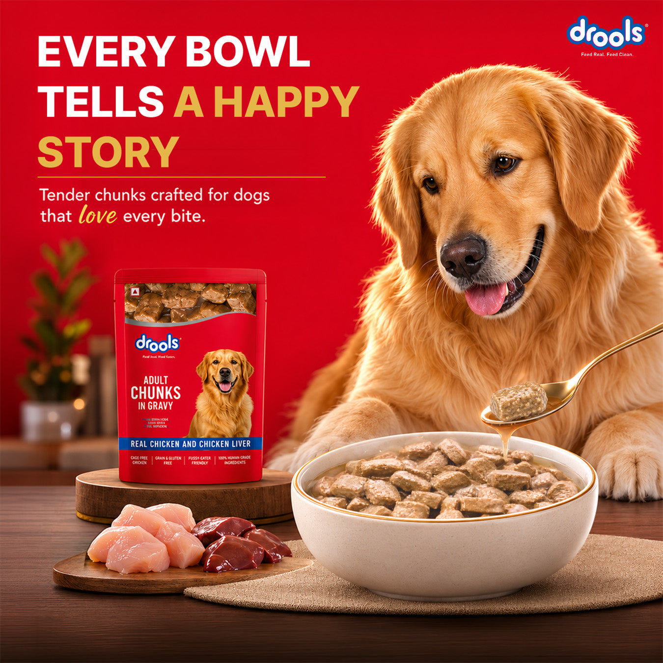 Drools Real Chicken & Chicken Liver Chunks in Gravy Adult Dog Wet Food (60g) image 2