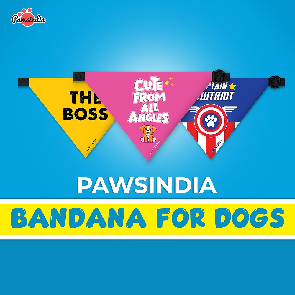 Pawsindia  It's My Birthday Bitches Pet Bandana for Dogs and Cats image 2
