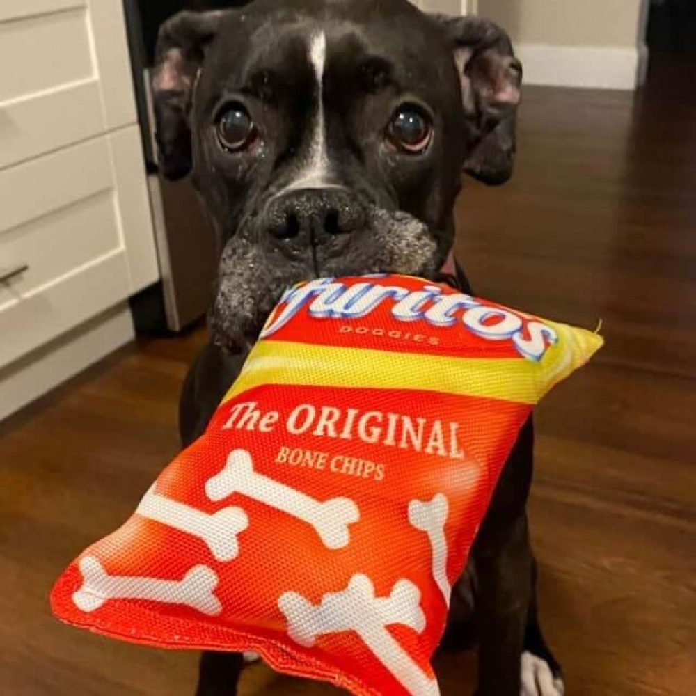 Talking Dog Club Dogritos 1 Zero Calories Chips Plush Toy for Dogs (Red) image 2
