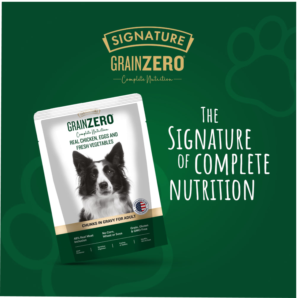 Signature Grain Zero Chicken Chunks Gravy Adult Dog Wet Food image 3