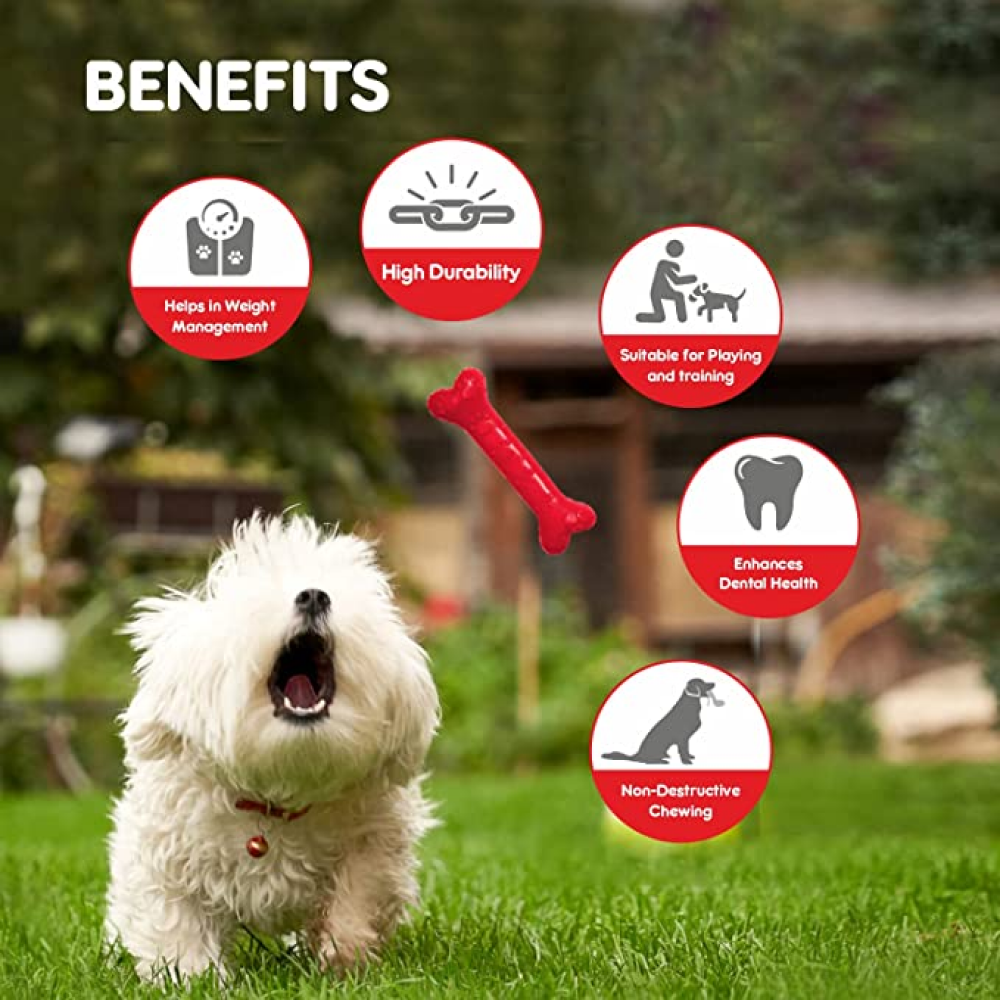 Drools Non Toxic Rubber Chew Bone Teething Toy for Puppies and Dogs | For Aggressive Chewers image 7